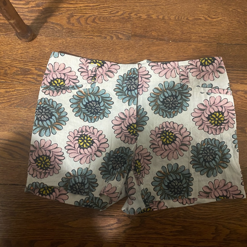 Ann taylor loft shorts . Hardly worn . Smoke free home .